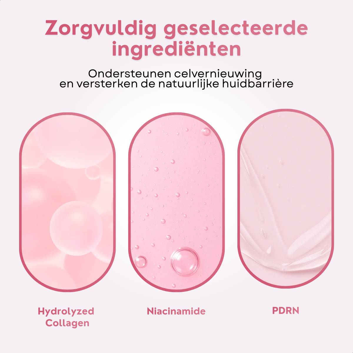 Anschauliche Darstellung ausgewählter Inhaltsstoffe wie hydrolysiertes Kollagen, Niacinamid und PDRN